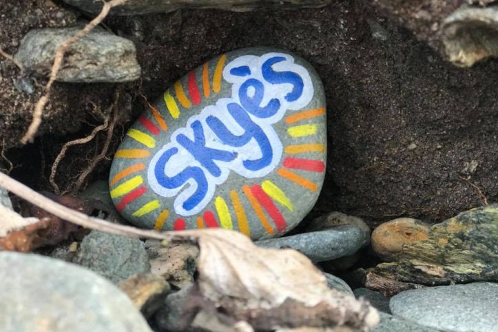 skyes